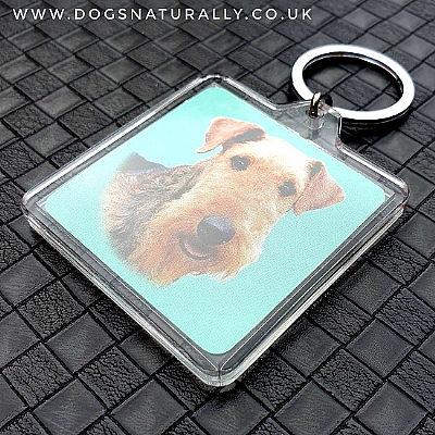 Airedale Key Ring (Square)